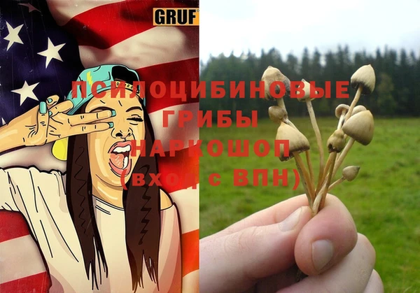 a pvp Лиски