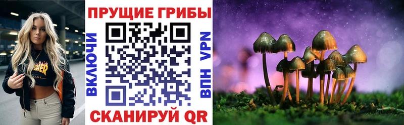 магазин    omg tor  Псилоцибиновые грибы Magic Shrooms  Миньяр 